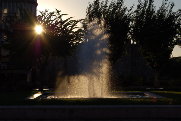Untitled Image